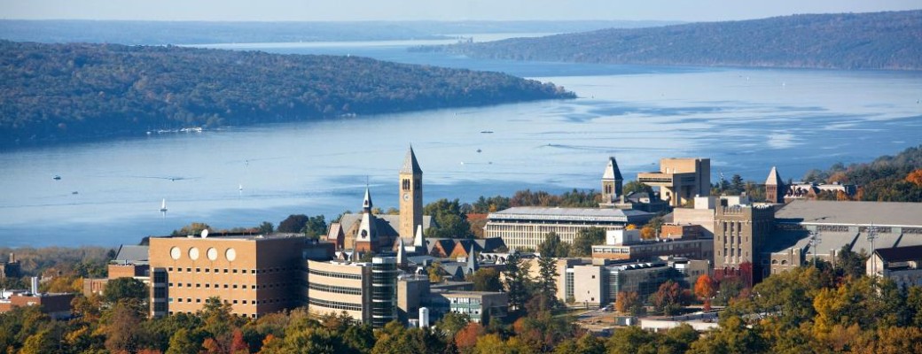 Aerial view of a campus with buildings nestled among autumn trees overlooking a large lake, calm scenic mood