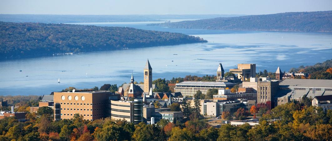 Aerial view of a campus with stone tower and buildings surrounded by autumn trees, overlooking a long lake, calm blue and orange seasonal mood